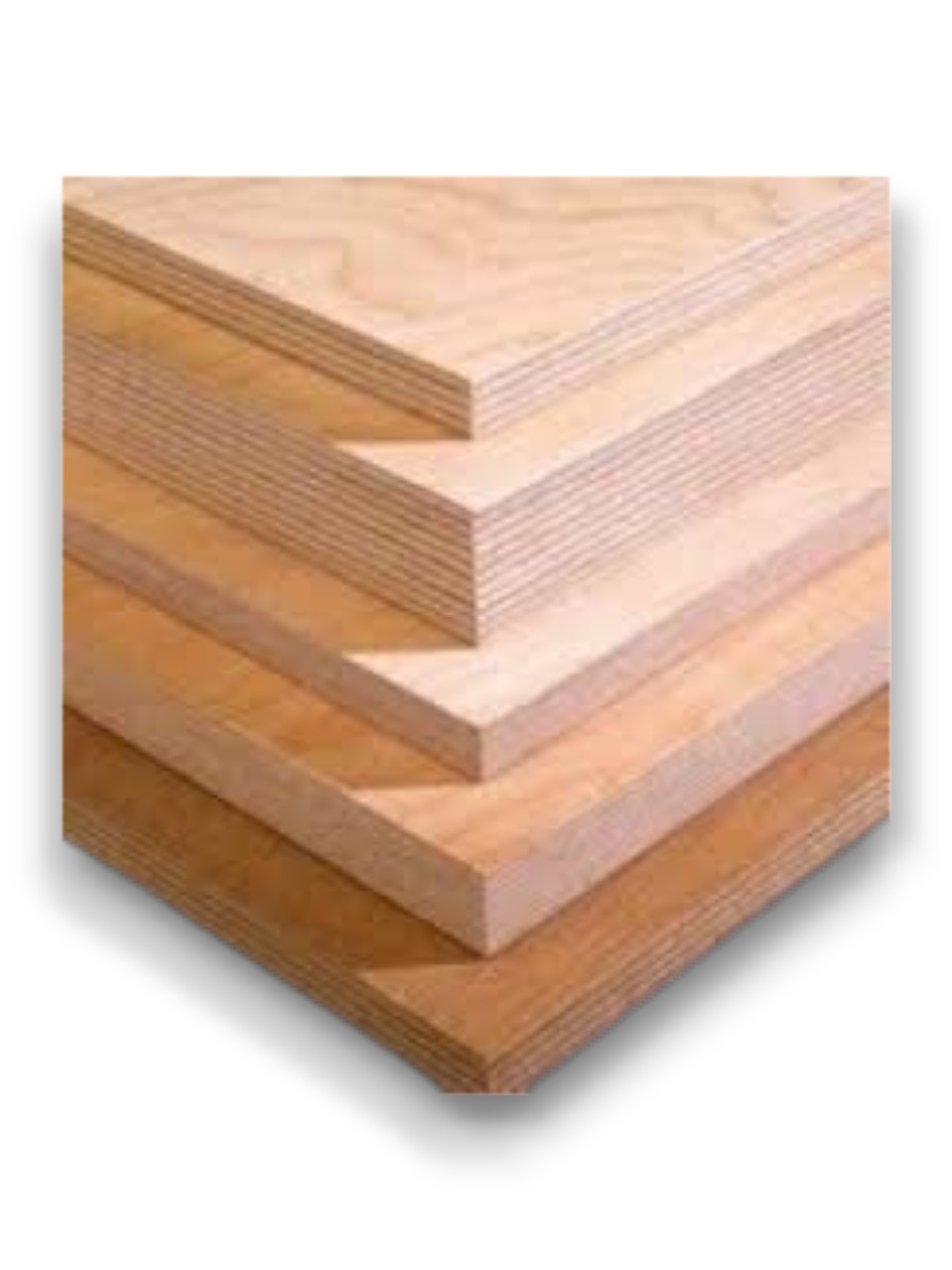 Ֆաներա ջրակայուն 1220*2440*30 Русский Лес