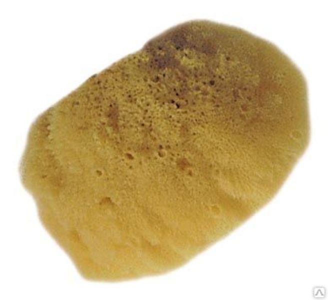 Սպունգ դեկորատիվ 12սմ MAKO