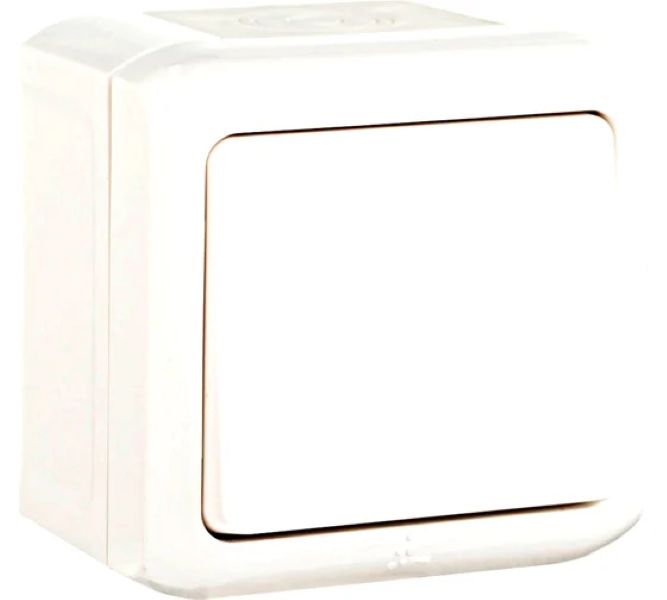 Անջատիչ կոճակ 6A  1ստեղն. IP44 սպիտակ  Legrand