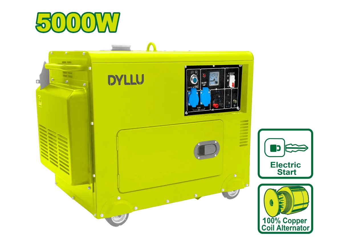 Бесшумный дизельный генератор DYLLU DTDG2A50 5000Вт