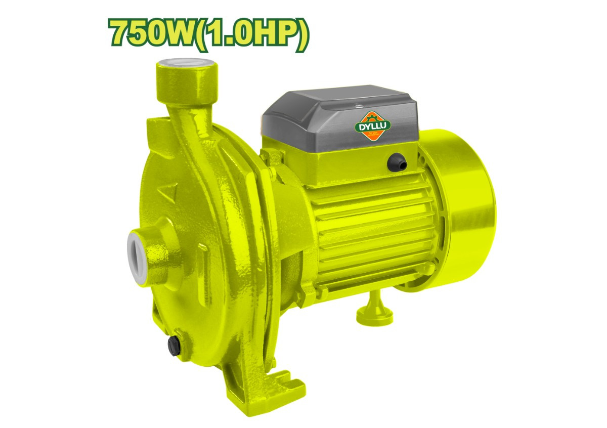 Водяной насос DYLLU DTWPCA03 750Вт