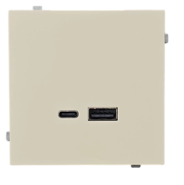 USB A+C 2.4А 5V 12W Бежевый (1/10)  Electrica