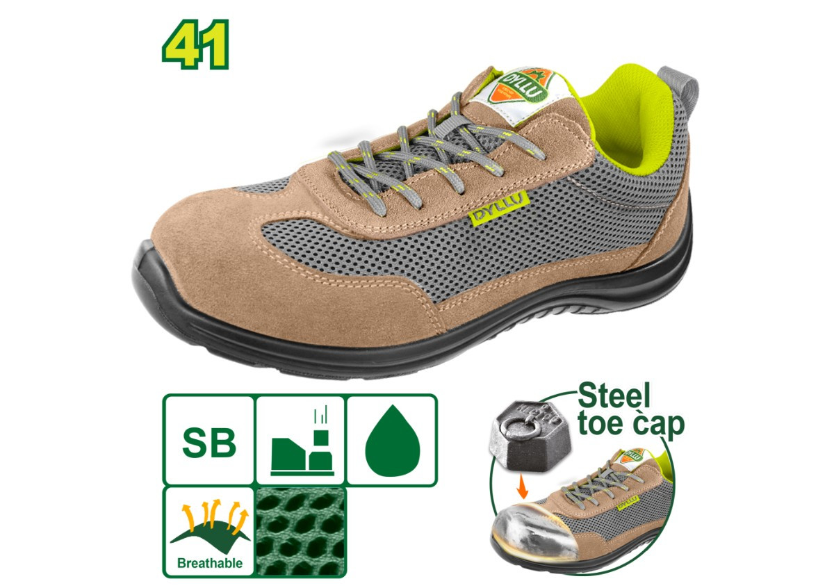 Պաշտպանիչ կոշիկներ DYLLU DTSB2541 41