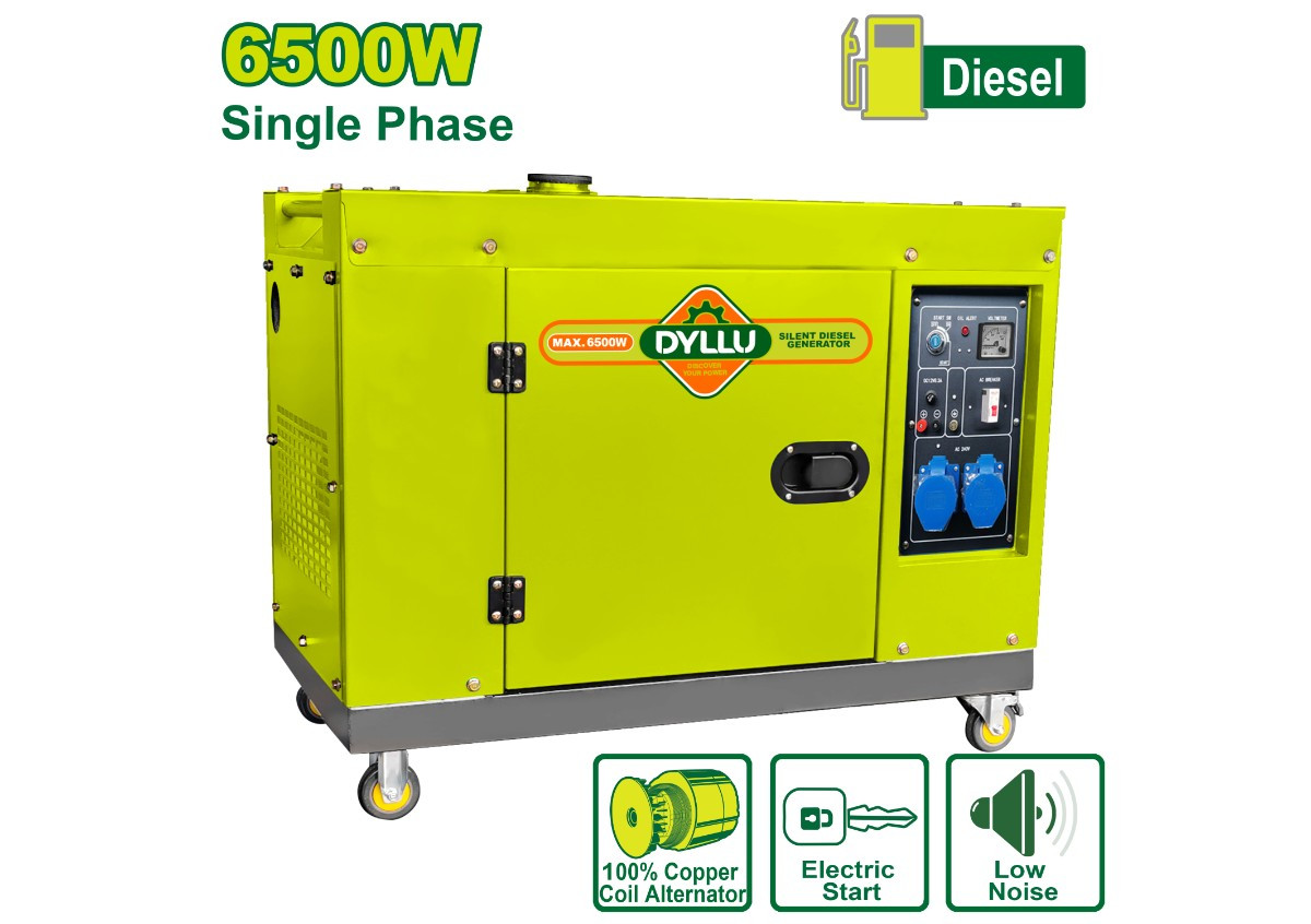 Անաղմուկ դիզելային գեներատոր DYLLU DTDG2A80 6500Վտ