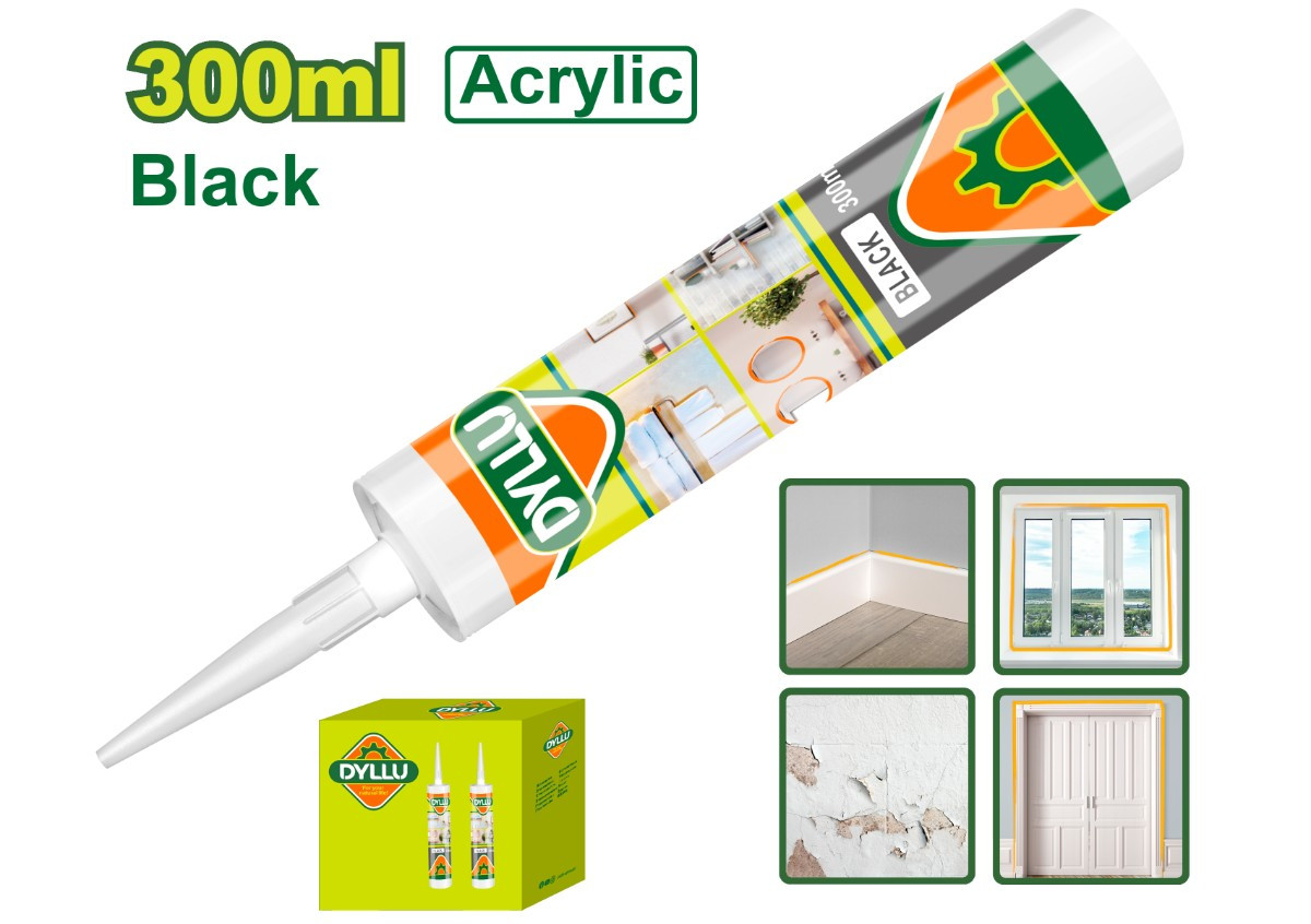 Հերմետիկ ակրիլ  սև DYLLU DTGQ2T23 300մլ