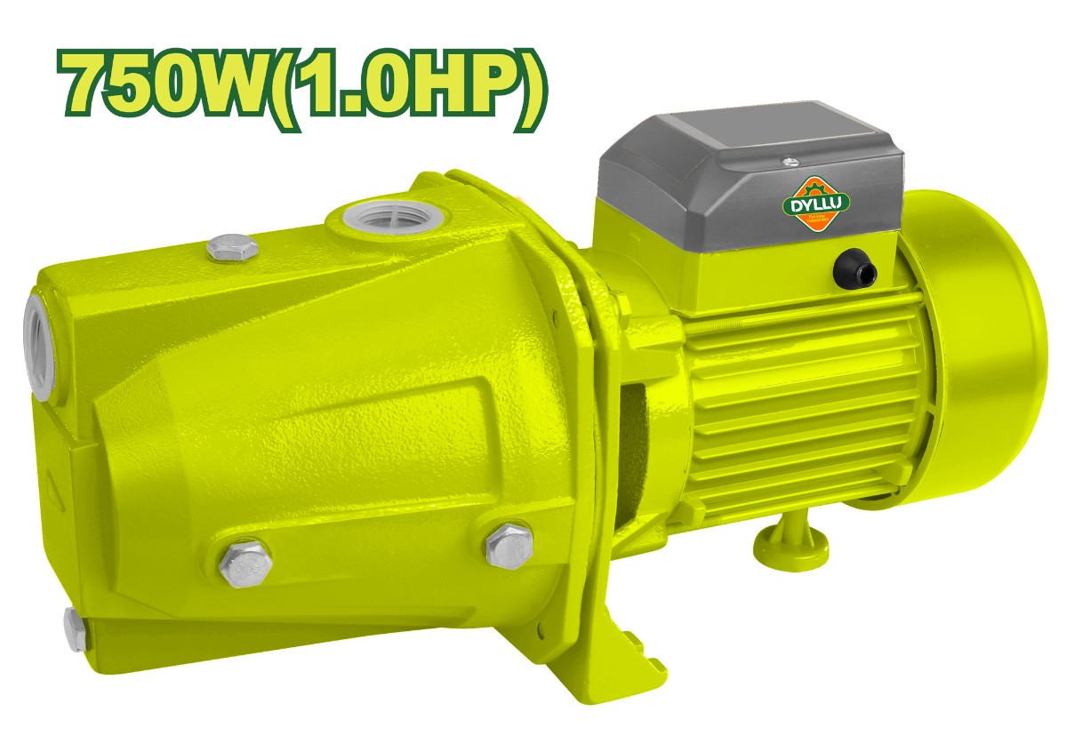 Водяной насос DYLLU DTWPJA03 750W